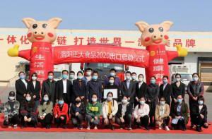 洛陽(yáng)正大出口香港產(chǎn)品順利通關(guān)！