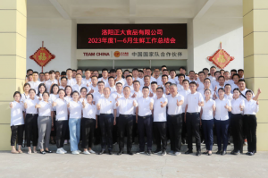 總結(jié)過去，計劃未來，協(xié)同創(chuàng)新，再創(chuàng)佳績！洛陽正大舉行2023年上半年工作總結(jié)會議